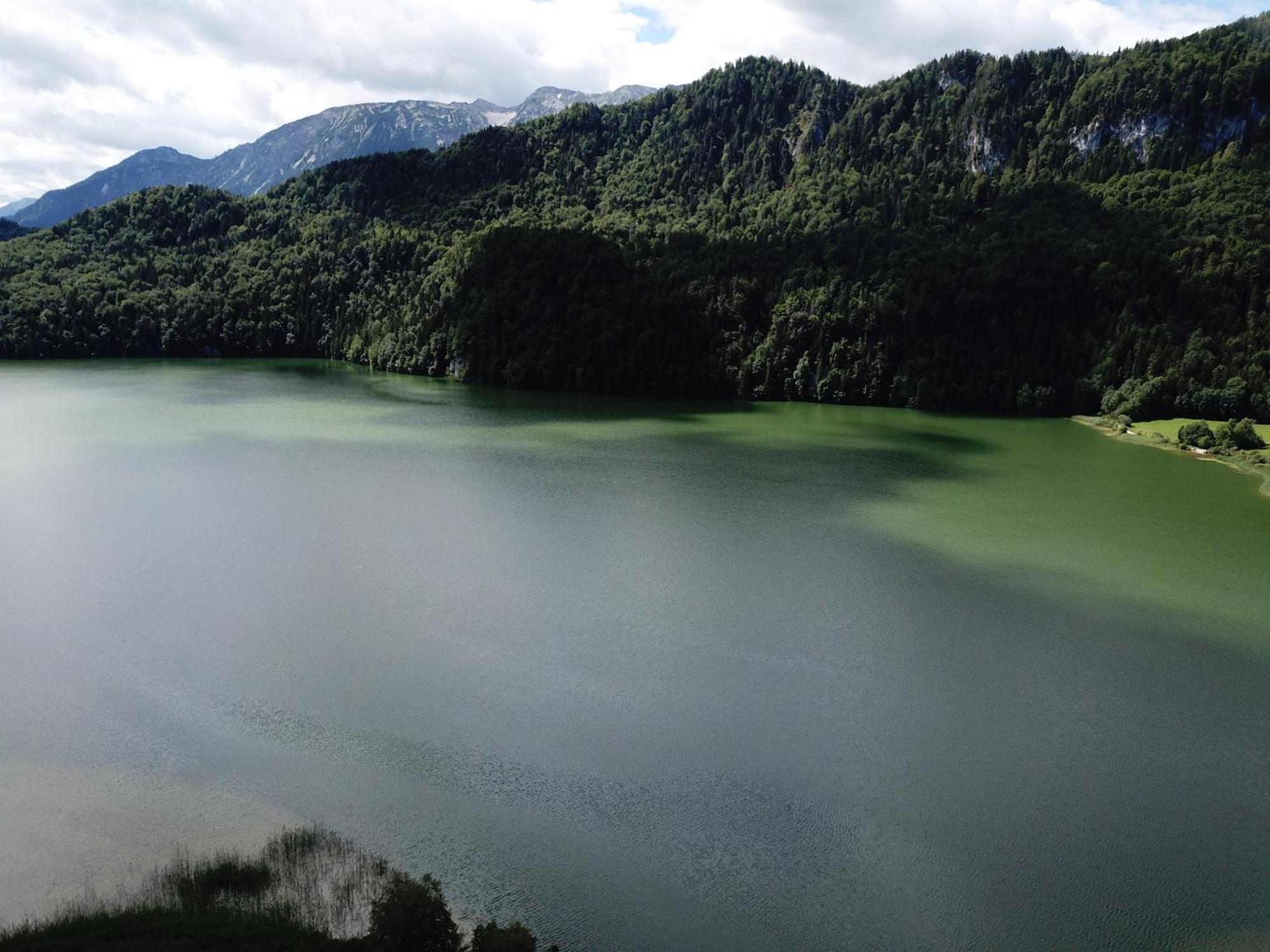 Landhaus Am Weissensee Füssen Exteriör bild